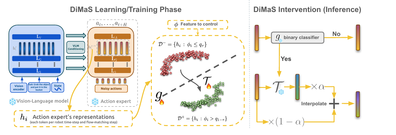 DiMaS method overview